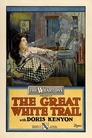 Great White Trail (1917)