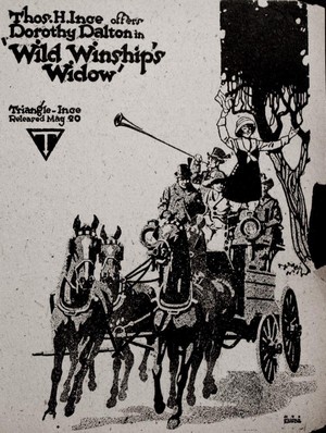 Wild Winship's Widow (1917) - poster