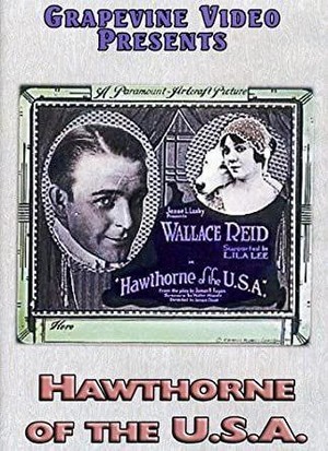 Hawthorne of the U.S.A. (1919) - poster