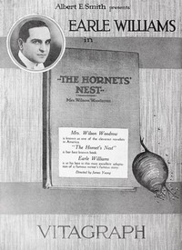 Hornet's Nest (1919) - poster