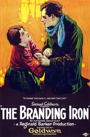 The Branding Iron (1920) - poster