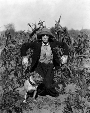 The Scarecrow (1920) - poster