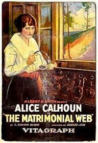 Matrimonial Web (1921) - poster