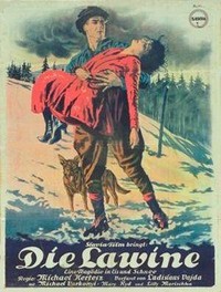 Die Lawine (1923) - poster