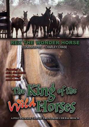 The King of the Wild Horses (1924) - poster