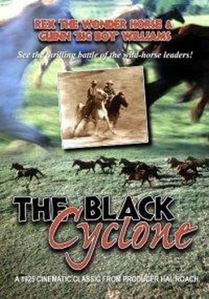 Black Cyclone (1925)