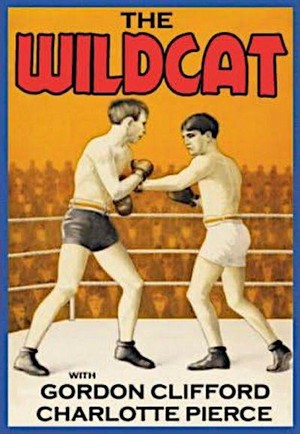 The Wildcat (1925) - poster