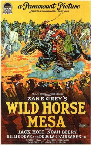 Wild Horse Mesa (1925) - poster