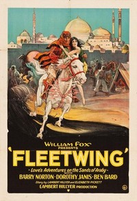 Fleetwing (1928) - poster