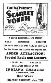 Scarlet Youth (1928) - poster