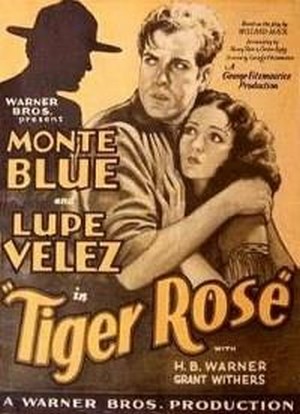 Tiger Rose (1929) - poster