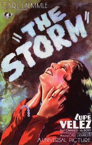 The Storm (1930) - poster