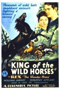 King of the Wild Horses (1933) - poster