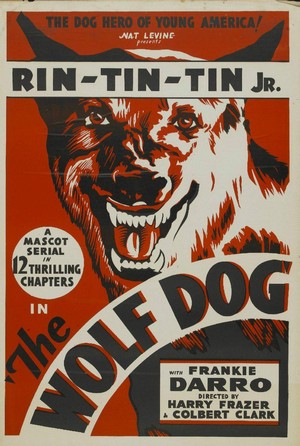 The Wolf Dog (1933) - poster