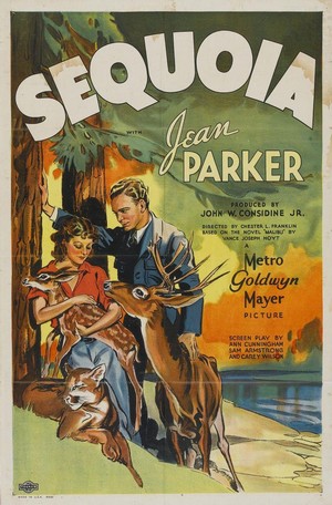 Sequoia (1934) - poster