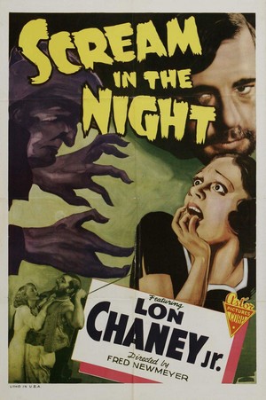 A Scream in the Night (1935) - poster