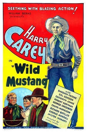 Wild Mustang (1935) - poster