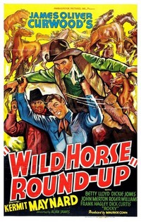 Wild Horse Roundup (1936) - poster