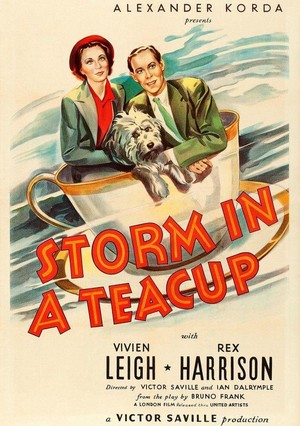 Storm in a Teacup (1937) - poster