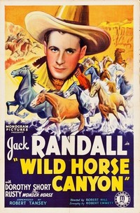Wild Horse Canyon (1938) - poster