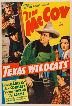 Texas Wildcats (1939) - poster