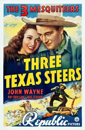 Three Texas Steers (1939) - poster