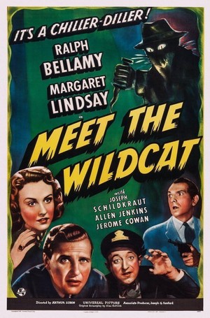 Meet the Wildcat (1940) - poster