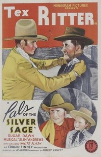 Pals of the Silver Sage (1940) - poster