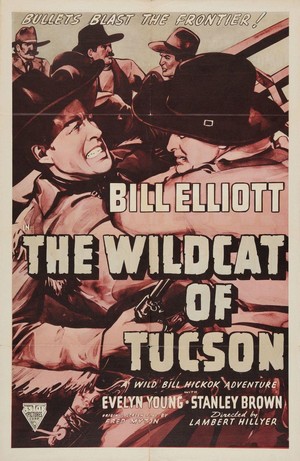 The Wildcat of Tucson (1940) - poster