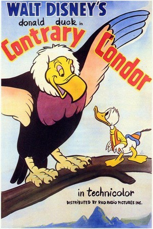 Contrary Condor (1944) - poster