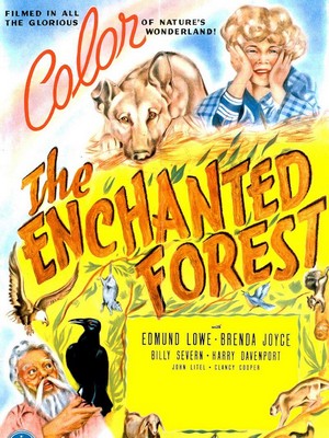 The Enchanted Forest (1945) - poster