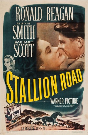 Stallion Road (1947) - poster