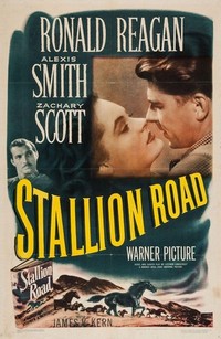 Stallion Road (1947) - poster