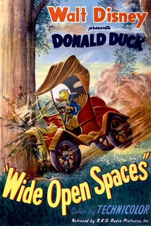 Wide Open Spaces (1947) - poster