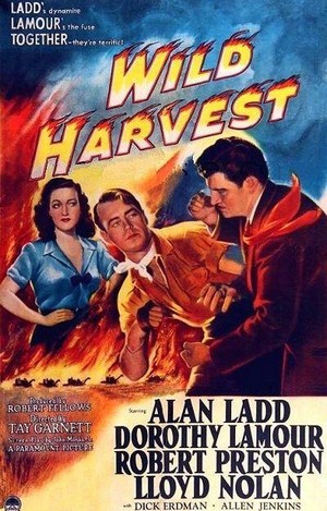 Wild Harvest (1947) - poster