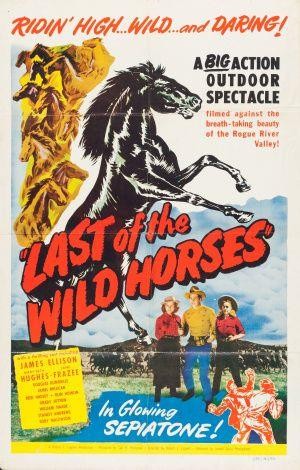 Last of the Wild Horses (1948) - poster