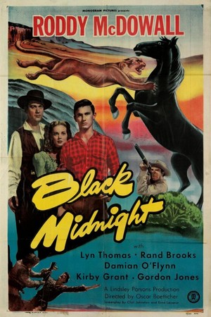 Black Midnight (1949) - poster