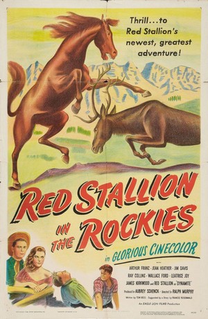 Red Stallion in the Rockies (1949) - poster
