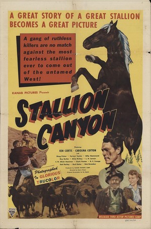 Stallion Canyon (1949) - poster