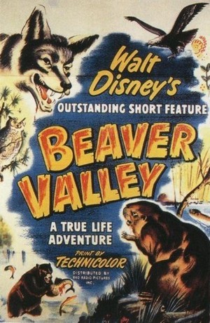 Beaver Valley (1950) - poster