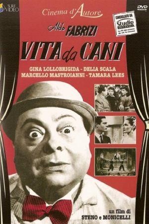 Vita da Cani (1950) - poster
