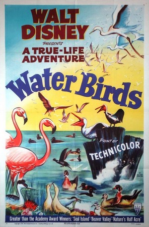 Water Birds (1952) - poster