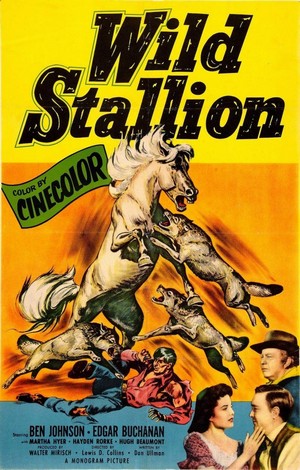 Wild Stallion (1952) - poster