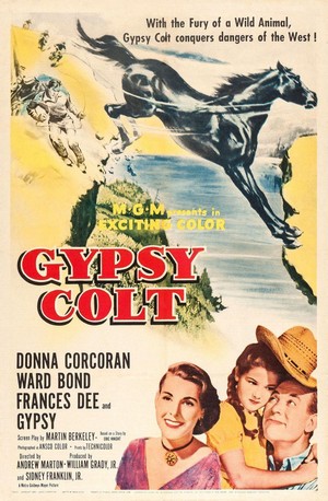 Gypsy Colt (1953) - poster