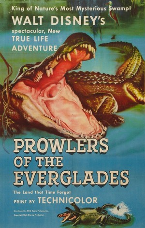 Prowlers of the Everglades (1953) - poster