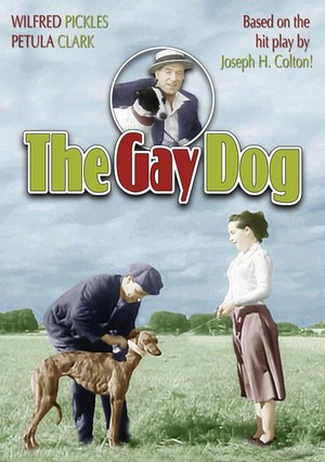 The Gay Dog (1954) - poster