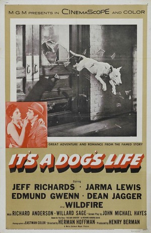 It's a Dog's Life (1955) - poster