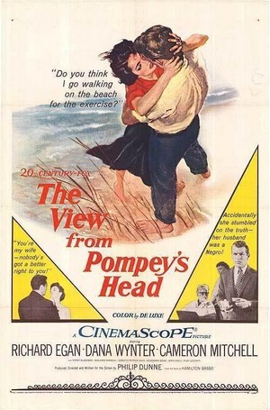 The View from Pompey's Head (1955) - poster