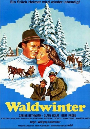 Waldwinter (1956) - poster