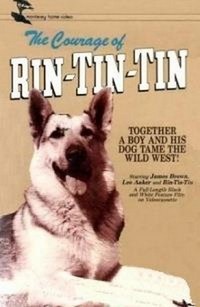 The Challenge of Rin Tin Tin (1957) - poster